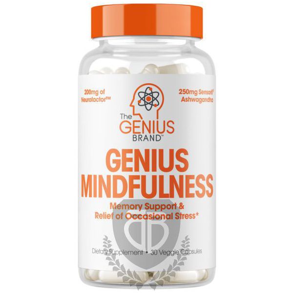 THE GENIUS BRAND Genius Mindfulness 30 kap.